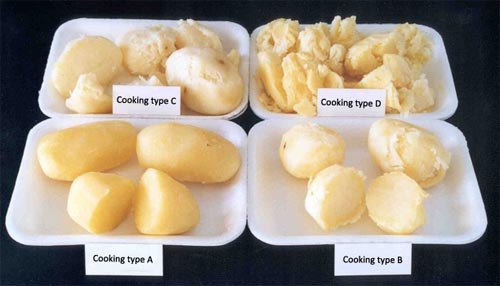 Cooking Types cooking_types